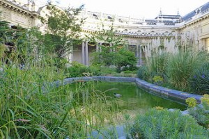"Petit Palais' garden ; 5 Parisian museums and gardens"