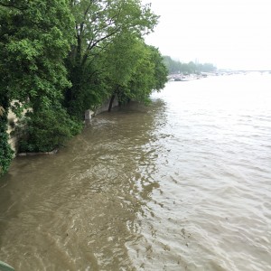 "The Seine overflows its banks in 2016"