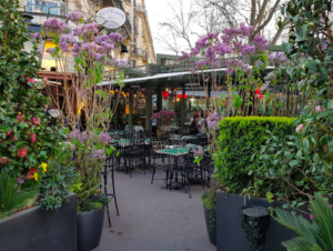 "brasserie bistrot or restaurant - La Closerie des Lilas"